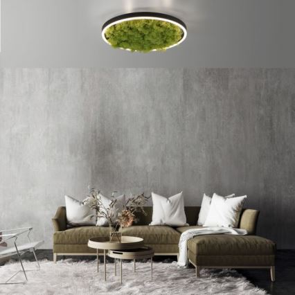 JUST LIGHT. 15391-66 - LED Prigušiva plafonjera zeleno RITU LED/20W/230V