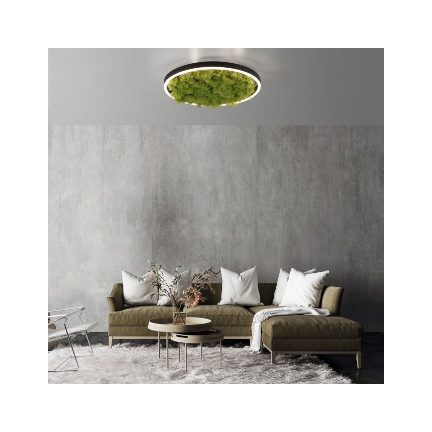 JUST LIGHT. 15391-66 - LED Prigušiva plafonjera zeleno RITU LED/20W/230V