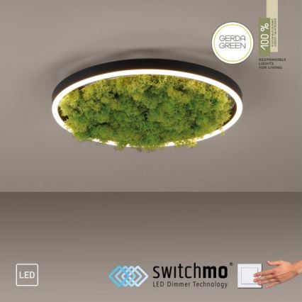 JUST LIGHT. 15391-66 - LED Prigušiva plafonjera zeleno RITU LED/20W/230V