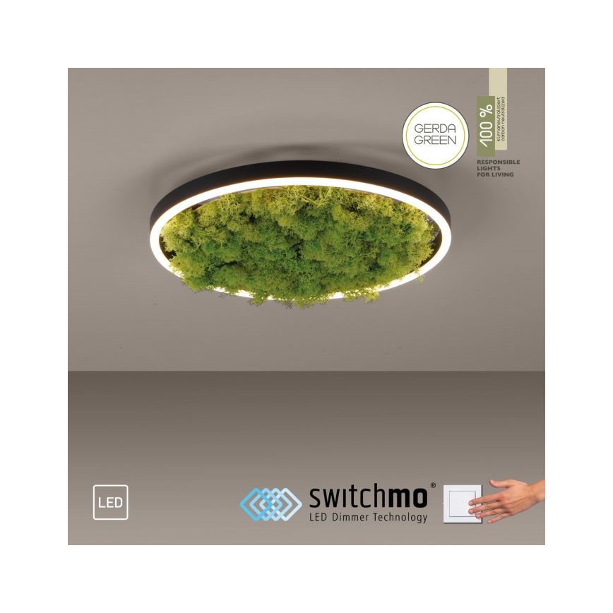 JUST LIGHT. 15391-66 - LED Prigušiva plafonjera zeleno RITU LED/20W/230V