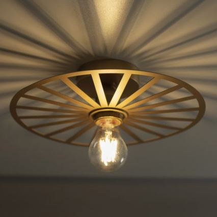 JUST LIGHT. 15635-60 - Plafonjera SPIKE 1xE27/40W/230V pr. 30 cm mesing