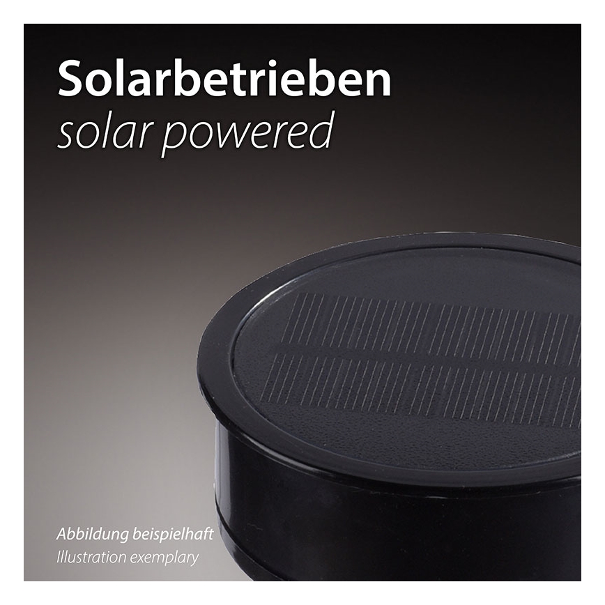JUST LIGHT. 19106-18-3 - Set 3x LED Solarno svetlo FACKEL LED/0,24W/3,7V IP44 crno