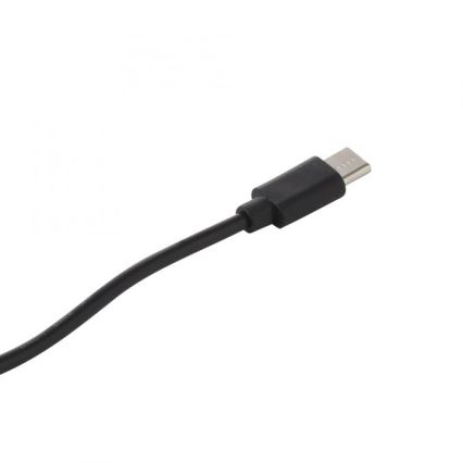 JUST LIGHT. 19260-18 - LED Prigušiva dodirna vanjska lampa ABERA LED/3W/3,7V 2000 mAh USB IP54 crno