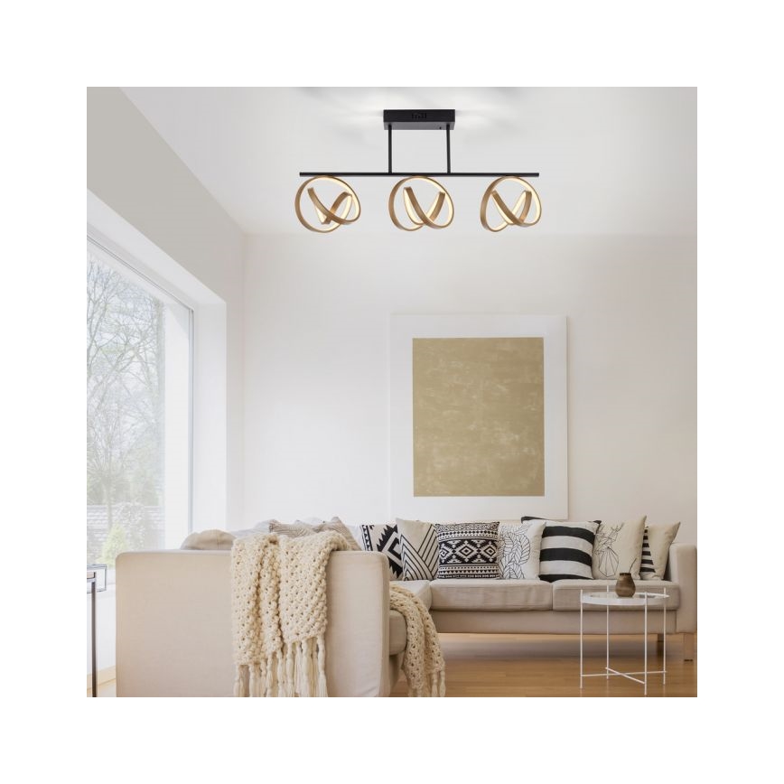 JUST LIGHT. 6245-18 - LED Prigušivi nadgradni luster LOOP 3xLED/11W/230V 2700-5000K + Daljinski upravljač