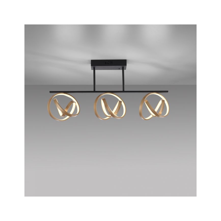 JUST LIGHT. 6245-18 - LED Prigušivi nadgradni luster LOOP 3xLED/11W/230V 2700-5000K + Daljinski upravljač