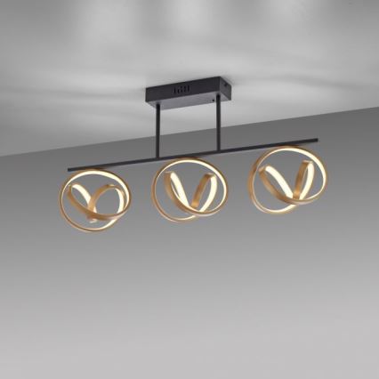 JUST LIGHT. 6245-18 - LED Prigušivi nadgradni luster LOOP 3xLED/11W/230V 2700-5000K + Daljinski upravljač