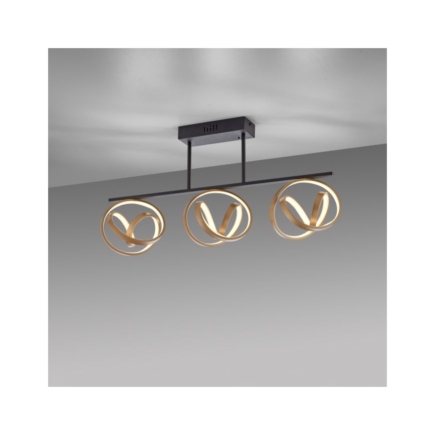 JUST LIGHT. 6245-18 - LED Prigušivi nadgradni luster LOOP 3xLED/11W/230V 2700-5000K + Daljinski upravljač