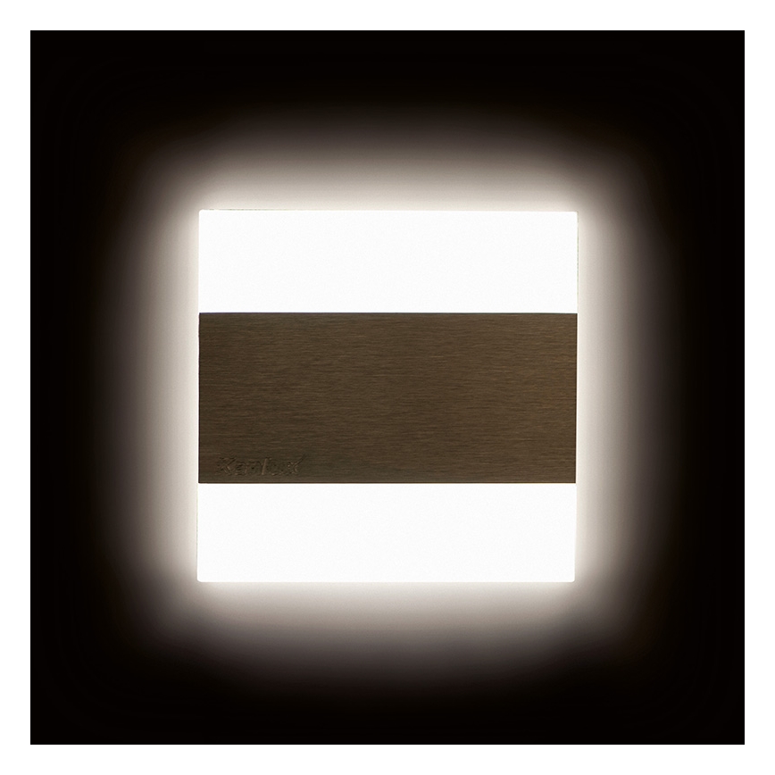 LED Stubišna svjetiljka LED/0,8W/12V 6500K