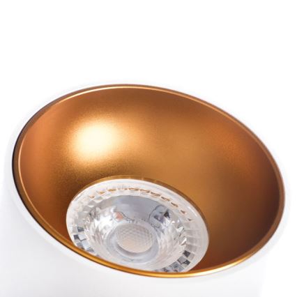 Reflektorska lampa RITI 1xGU10/10W/230V bela/zlatna