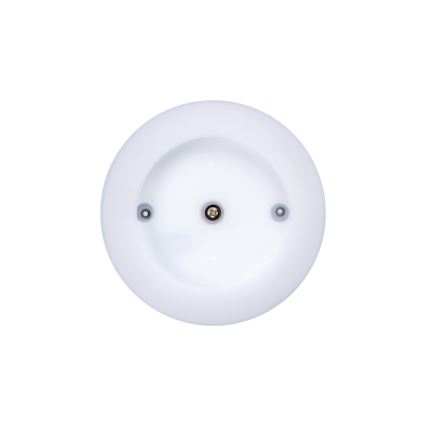 LED Spoljašnja plafonjera TURA LED/15W/230V 4000K IP54 crno