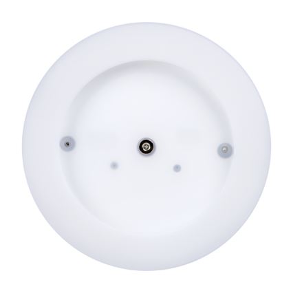LED Spoljašnja plafonjera TURA LED/24W/230V 4000K IP54 crno
