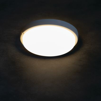 LED Plafonjera za kupatilo TOLU LED/9W/230V 4000K IP54 bela