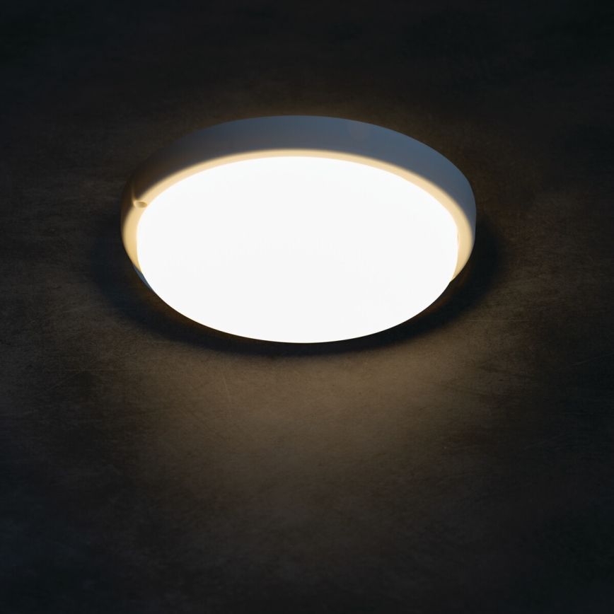 LED Plafonjera za kupatilo TOLU LED/9W/230V 4000K IP54 bela