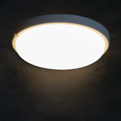 LED Plafonjera za kupatilo TOLU LED/18W/230V 4000K IP54 bela