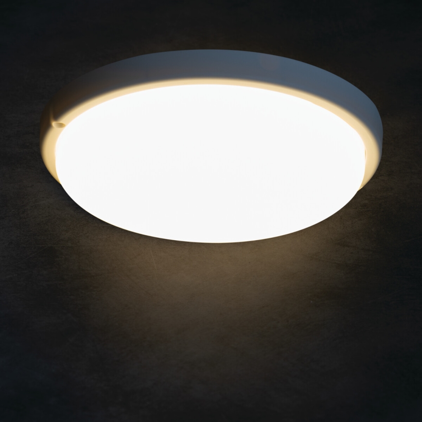 LED Plafonjera za kupatilo TOLU LED/18W/230V 4000K IP54 bela
