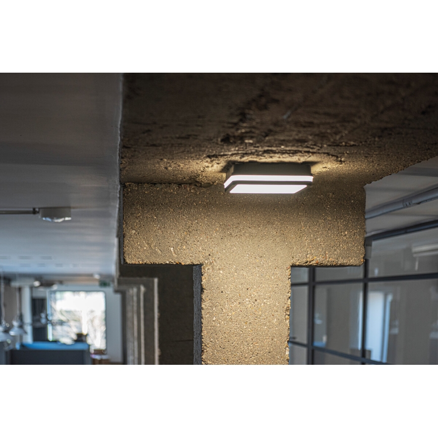 LED Spoljašnja lampa sa senzorom BENO LED/18W/230V 4000K IP54 antracit