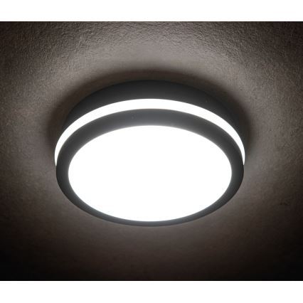 LED Spoljna lampa BENO LED/18W/230V 4000K antracit IP54