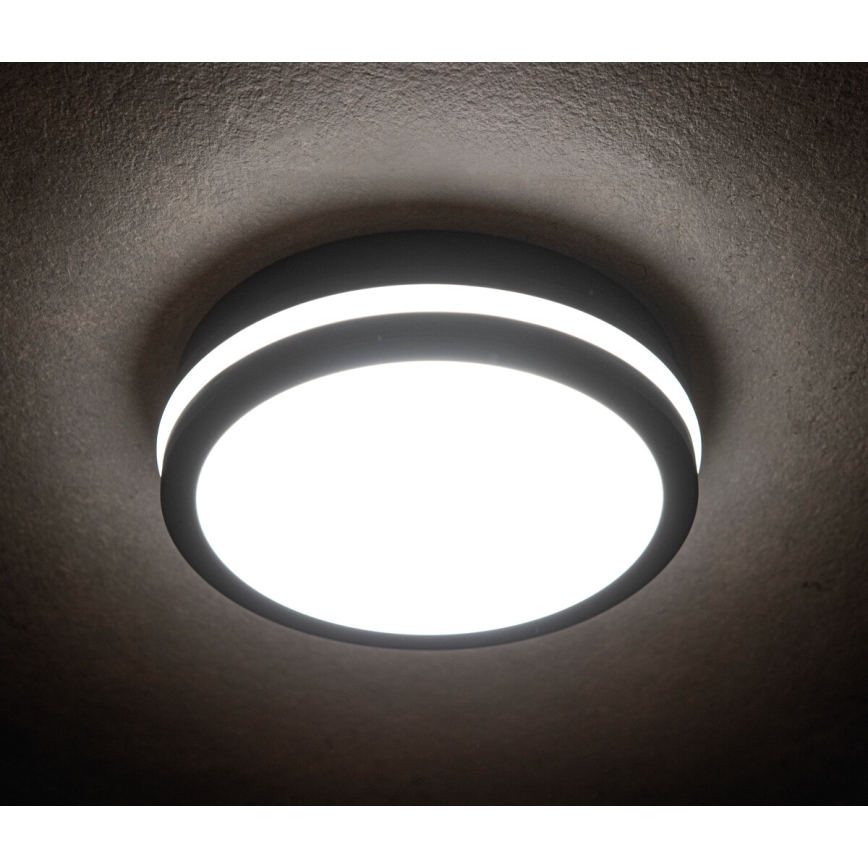 LED Spoljna lampa BENO LED/18W/230V 4000K antracit IP54