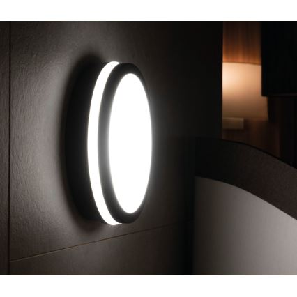 LED Spoljna lampa BENO LED/18W/230V 4000K antracit IP54