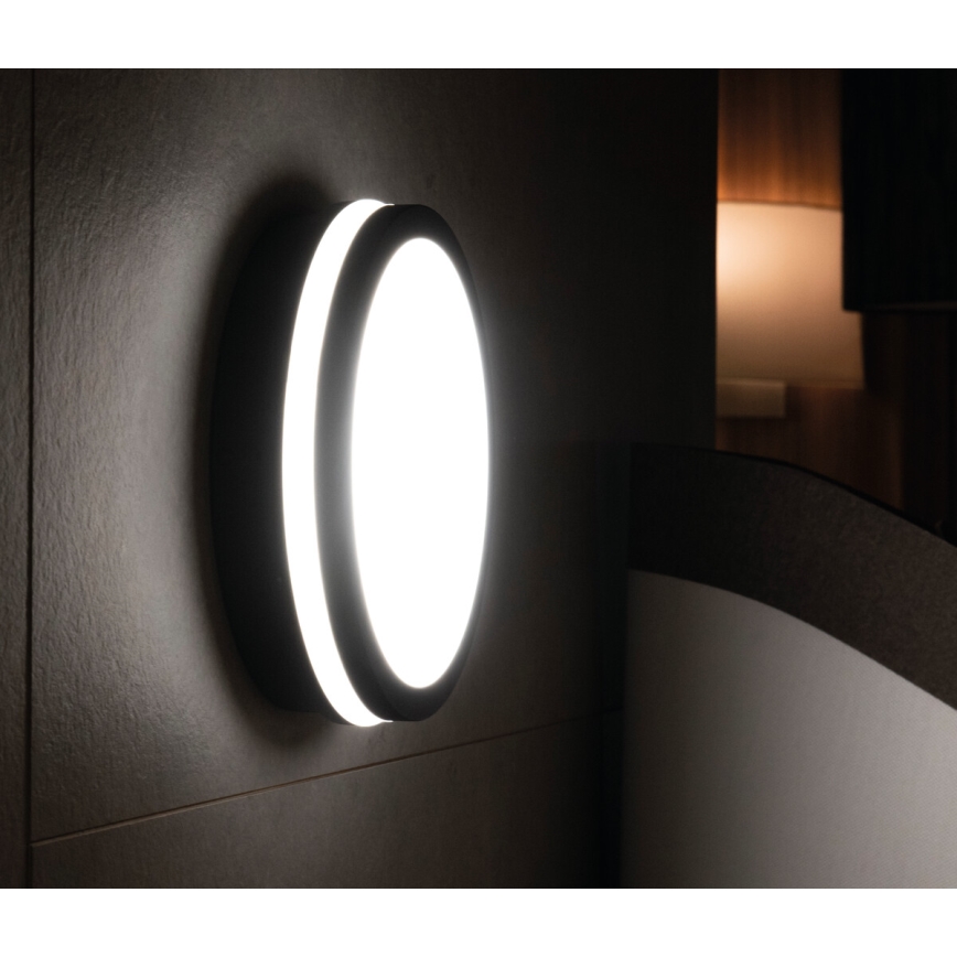 LED Spoljna lampa BENO LED/18W/230V 4000K antracit IP54