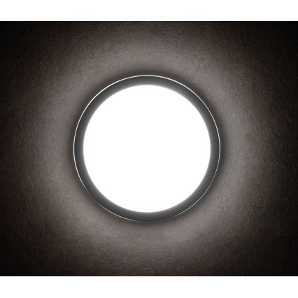 LED Spoljna lampa BENO LED/18W/230V 4000K antracit IP54