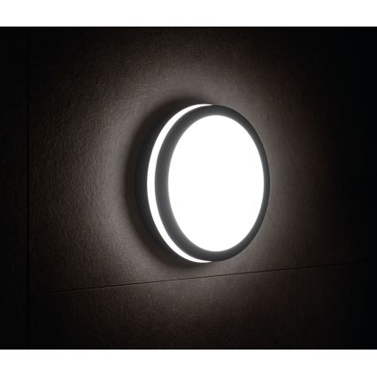 LED Spoljna lampa BENO LED/18W/230V 4000K antracit IP54