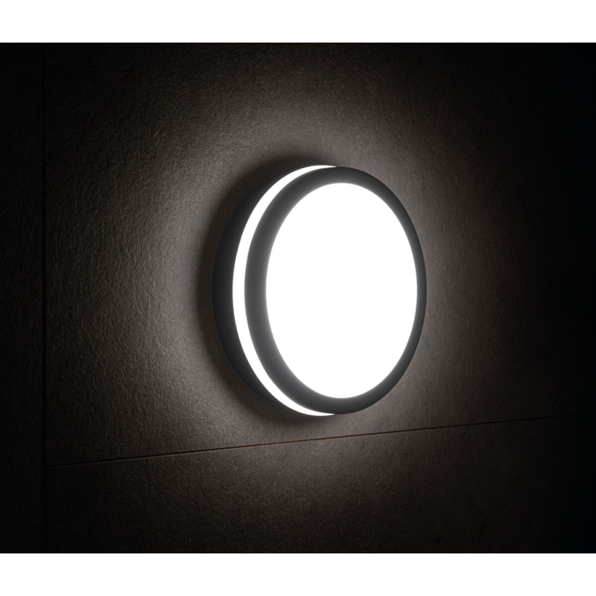 LED Spoljna lampa BENO LED/18W/230V 4000K antracit IP54