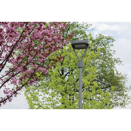 LED Ulična svetiljka PARCOLI LED/30/40/50W/230V 3000/4000/6500K IP66 sivo