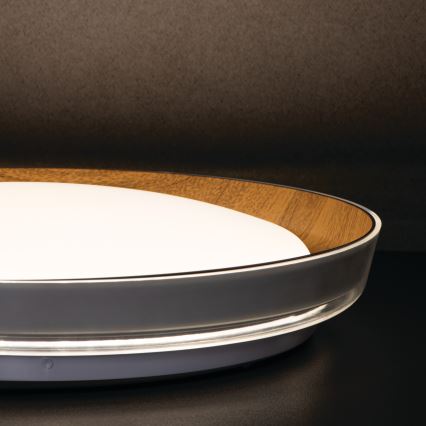LED Plafonjera NIFU LED/17,8W/230V pr. 43 cm bela/braon