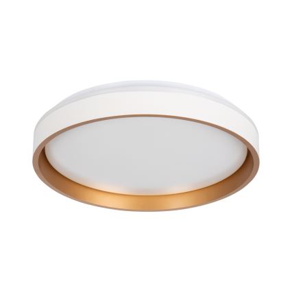 LED Plafonjera SOLN LED/17,5W/230V pr. 38 cm bela/zlatna