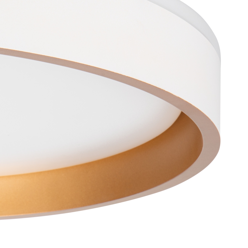 LED Plafonjera SOLN LED/17,5W/230V pr. 38 cm bela/zlatna