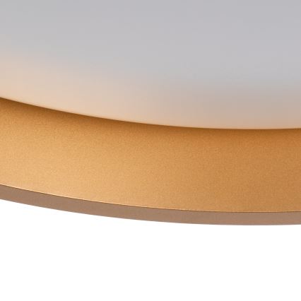 LED Plafonjera SOLN LED/17,5W/230V pr. 38 cm bela/zlatna