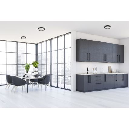 LED Spoljašnja plafonjera BENO ECO LED/12W/230V 3000/4000/6500K pr. 20 cm IP65 crno
