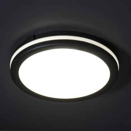 LED Spoljašnja plafonjera BENO ECO LED/12W/230V 3000/4000/6500K pr. 20 cm IP65 crno