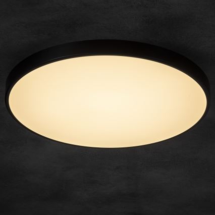 LED Prigušiva plafonjera PLAFON LED/20W/230V 3000-6500K Wi-Fi crno