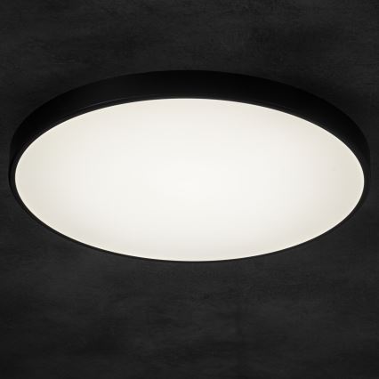 LED Prigušiva plafonjera PLAFON LED/20W/230V 3000-6500K Wi-Fi crno