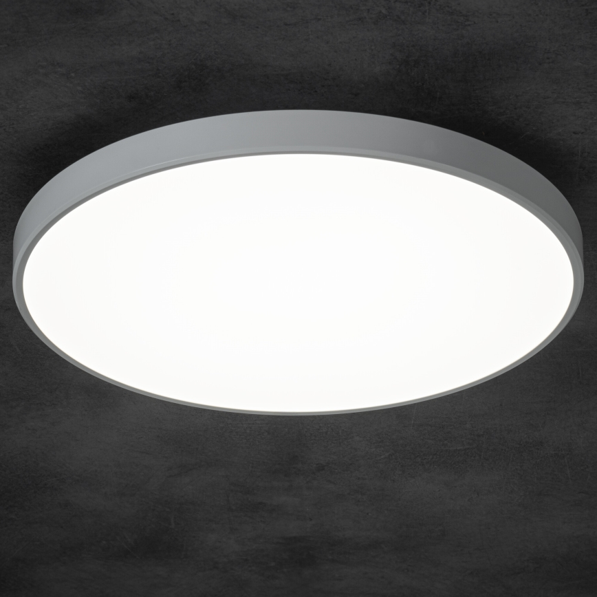 LED Prigušiva plafonjera PLAFON LED/20W/230V 3000-6500K Wi-Fi bela