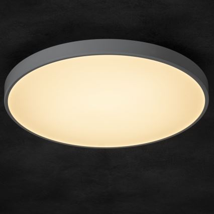 LED Prigušiva plafonjera PLAFON LED/20W/230V 3000-6500K Wi-Fi bela