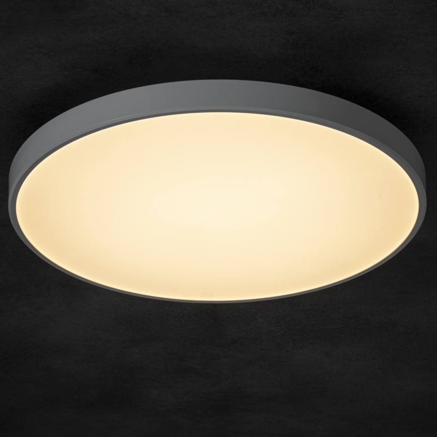 LED Prigušiva plafonjera PLAFON LED/20W/230V 3000-6500K Wi-Fi bela