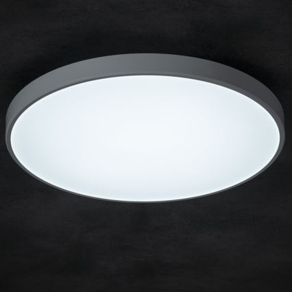 LED Prigušiva plafonjera PLAFON LED/20W/230V 3000-6500K Wi-Fi bela