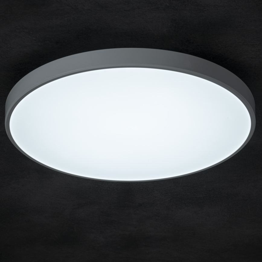 LED Prigušiva plafonjera PLAFON LED/20W/230V 3000-6500K Wi-Fi bela