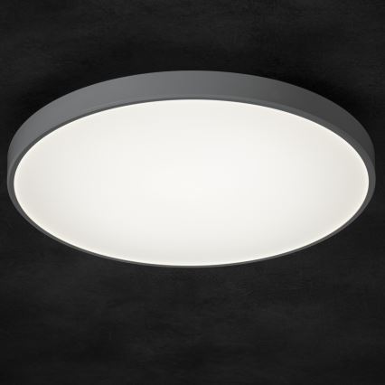 LED Prigušiva plafonjera PLAFON LED/20W/230V 3000-6500K Wi-Fi bela