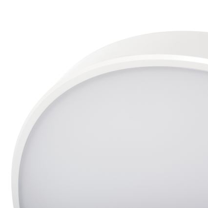 LED Prigušiva plafonjera PLAFON LED/20W/230V 3000-6500K Wi-Fi bela