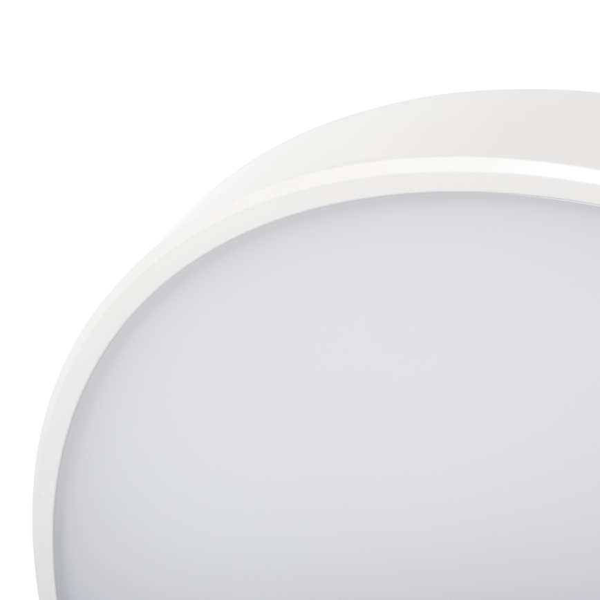 LED Prigušiva plafonjera PLAFON LED/20W/230V 3000-6500K Wi-Fi bela