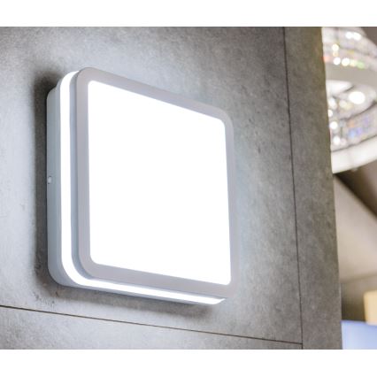 LED Spoljašnja plafonjera sa senzorom pokreta BENO LED/12/18W/230V 3000/3500/4000K IP65 bela uglast
