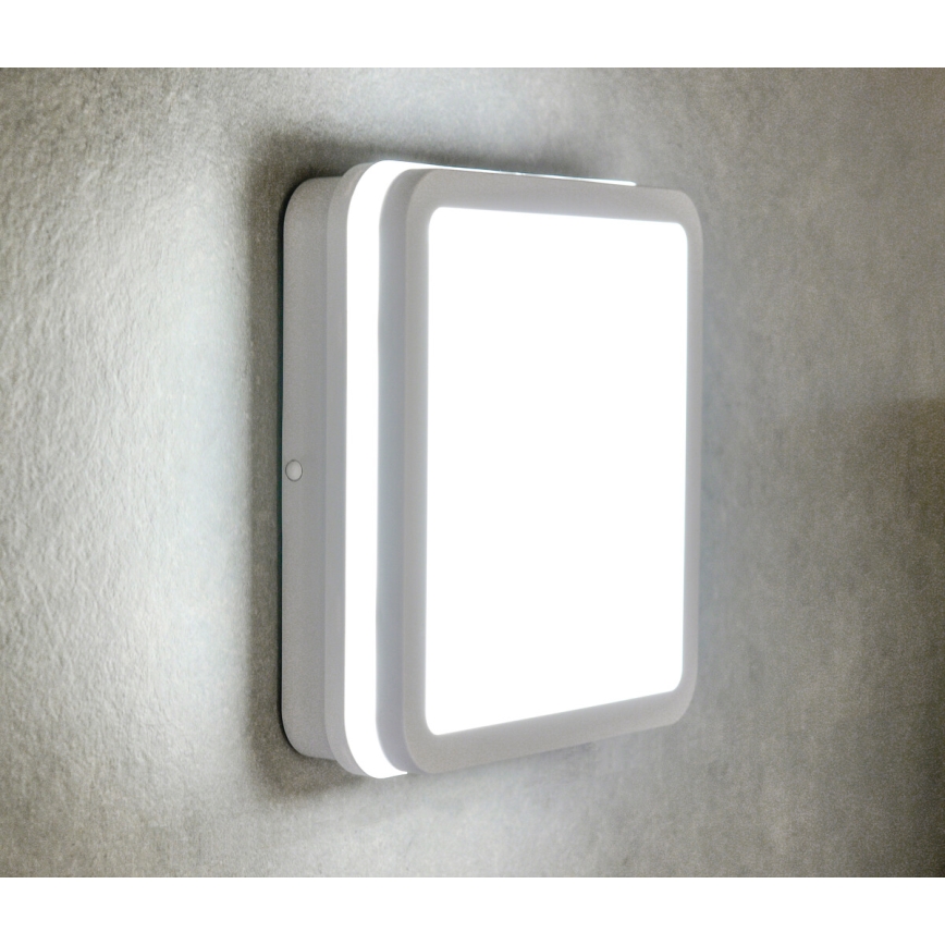 LED Spoljašnja plafonjera sa senzorom pokreta BENO LED/24/30W/230V 3000/3500/4000K IP65 bela uglast