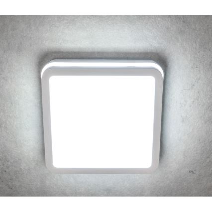 LED Spoljašnja plafonjera BENO LED/24/30W/230V 3000/3500/4000K IP65 bela uglast