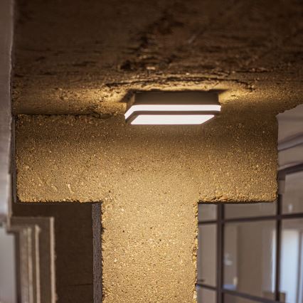 LED Spoljašnja plafonjera BENO LED/12/18W/230V 3000/3500/4000K IP65 antracit uglast