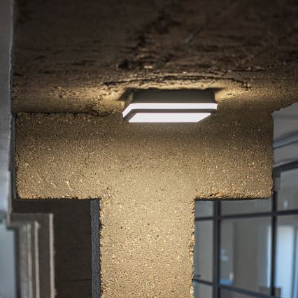 LED Spoljašnja plafonjera sa senzorom pokreta BENO LED/12/18W/230V 3000/3500/4000K IP65 antracit uglast