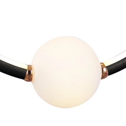 LED prigušiva luster na sajli LIV LED/50W/230V crna + daljinski upravljač